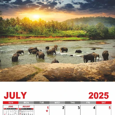 Scenery promotional calendars